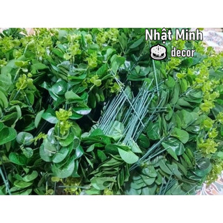 Cành táo trang trí, cắm hoa