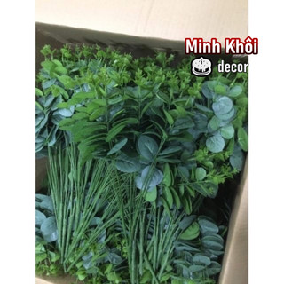 Nhánh lá táo rời cành mỏng siêu đẹp