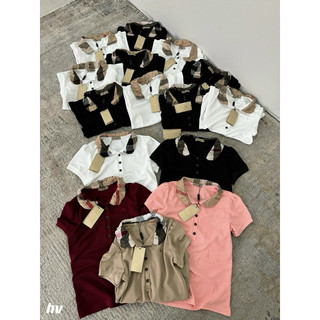 Áo phông cổ sen bbr
