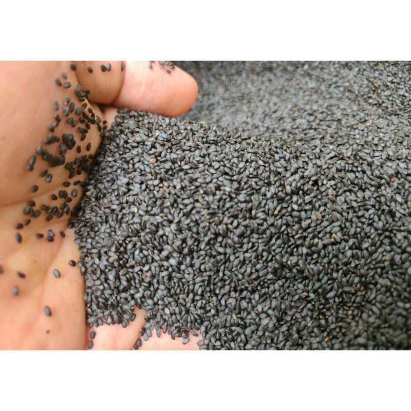 HẠT É THANH NHIỆT CƠ THỂ 500gr