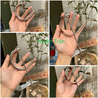 Móc Lồng chim-Móc Gập đồng lồng chim Chào Mào, Chích choè than, Hoạ Mi cao cấp