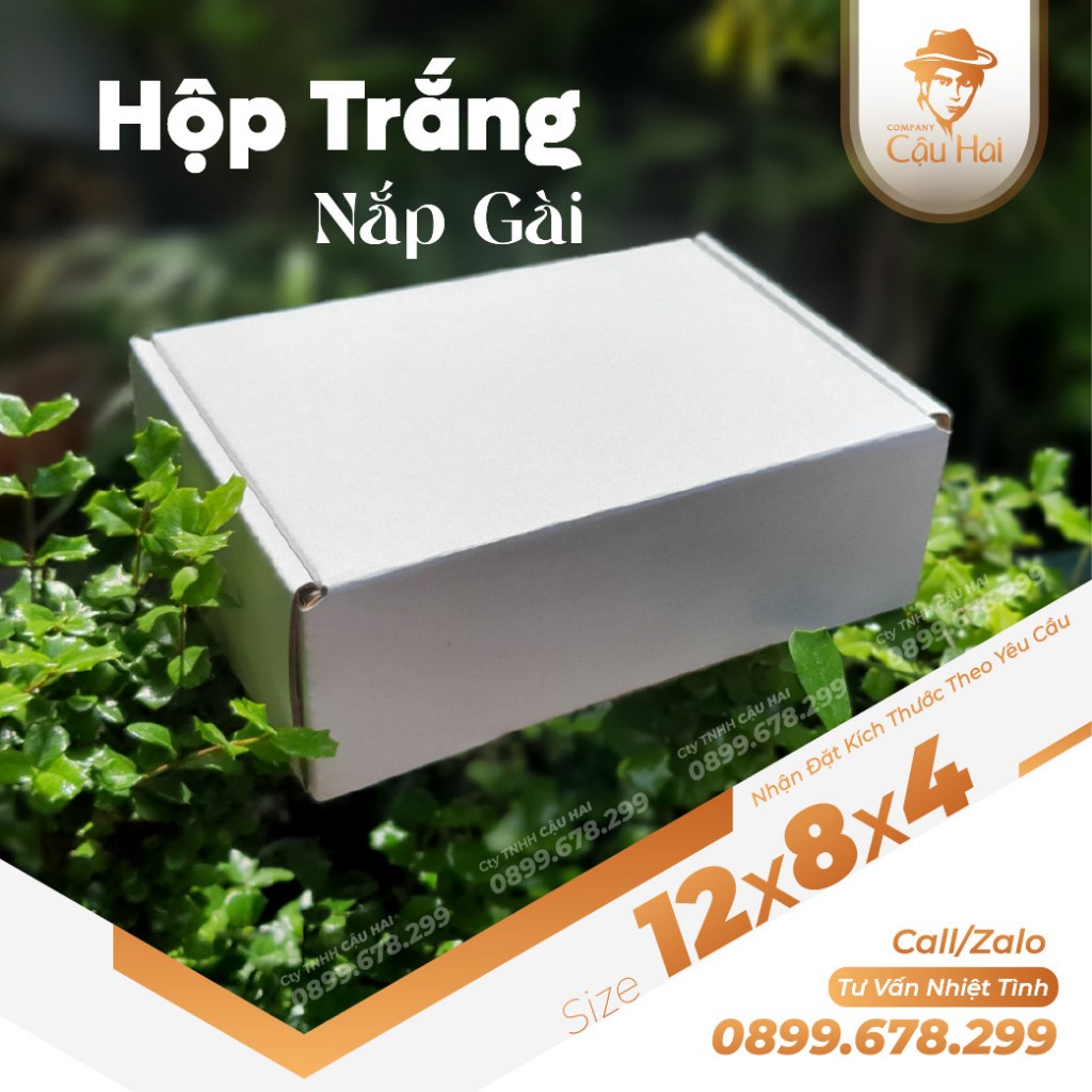 Set 50 Hộp carton 12x8x4