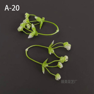 100g, 50g cỏ điểm nhặt sạch và chưa nhặt