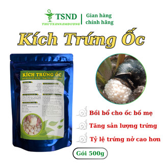Kích trứng ốc nhồi, ốc bươu đen, trứng to, tỉ lệ nở cao, ốc bố mẹ khỏe đẹp sau sinh - Gói 500g