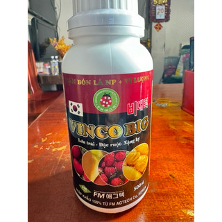 BIGER Lớn Trái , Cơm vàng, đặc ruột Sầu Riêng