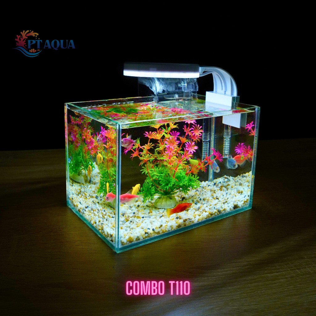 Bể cá mini để bàn 22x15x15cm CHỌN MẪU với nhiều mầu có kèm phụ kiện