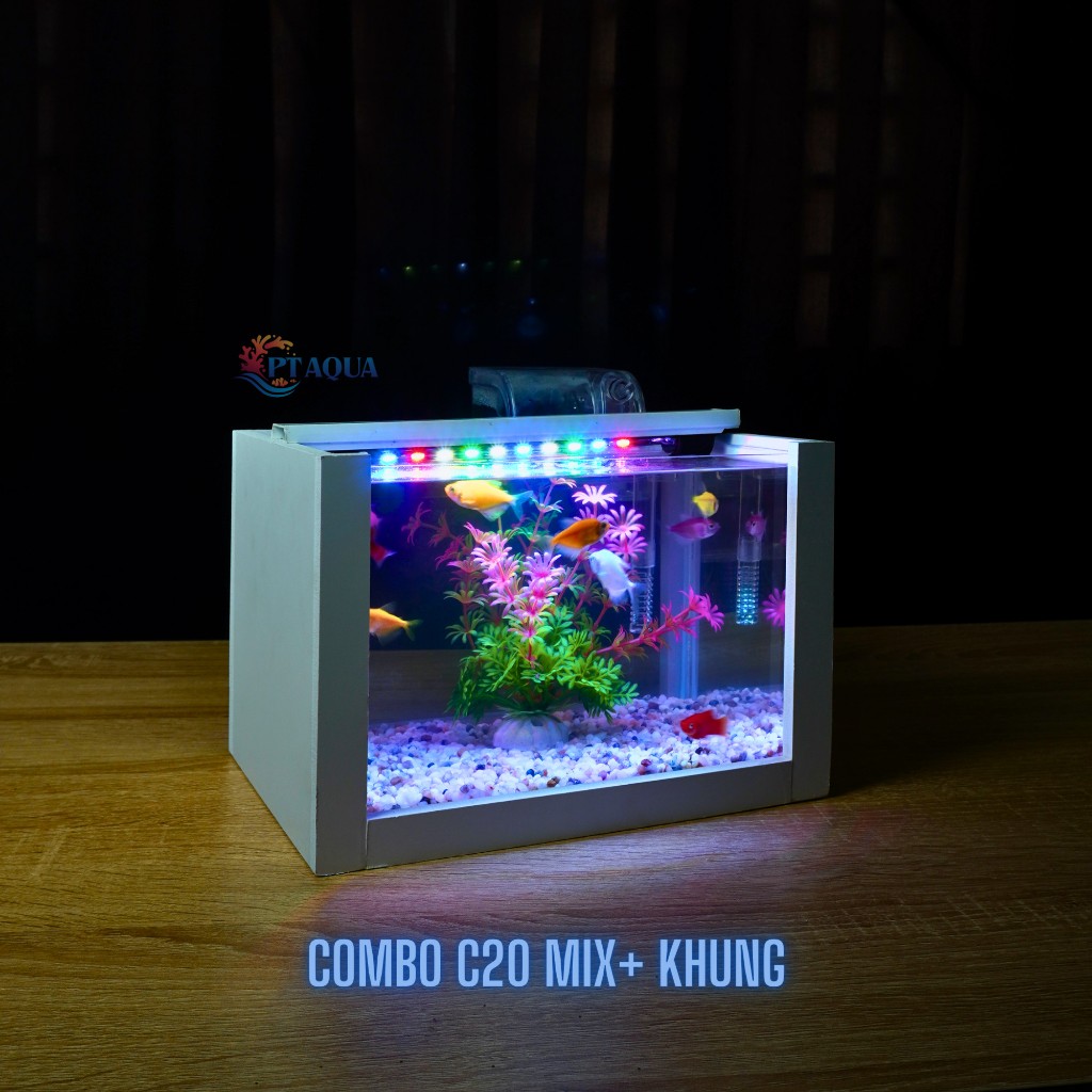 Bể cá mini để bàn 22x15x15cm CHỌN MẪU với nhiều mầu có kèm phụ kiện