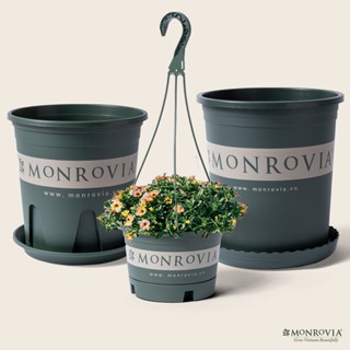 Chậu nhựa trồng cây MONROVIA  trong nhà, sân vườn, treo ban công, treo tường, size Lớn tiêu chuẩn Châu Âu