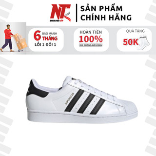 Giày Adidas Superstar Mũi Sò Tem Vàng Full Box