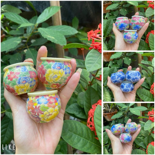 Cóng Lồng Chim-Cóng chim Chào Mào, Chích Choè Bách Hoa full Vàng gắn sẵn tai cao cấp