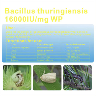 Trực khuẩn thuringiensis(Bt) (gói 1kg)