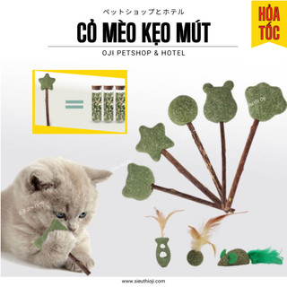 Cỏ mèo cỏ bạc hà catnip, sạch răng thơm miệng, dạng viên nén kẹo mút