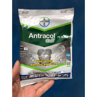 Bộ đôi Antracol , Starner trừ nấm vi khuẩn cây trồng