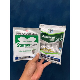 Bộ đôi Antracol , Starner trừ nấm vi khuẩn cây trồng