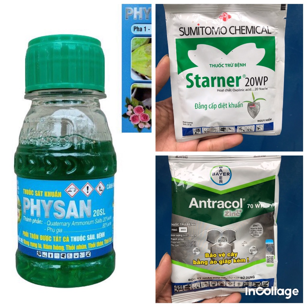 Thuốc sát khuẩn Physan, antracol, Starner trừ bệnh thối nhũn, nấm. vi khuẩn cây trồng