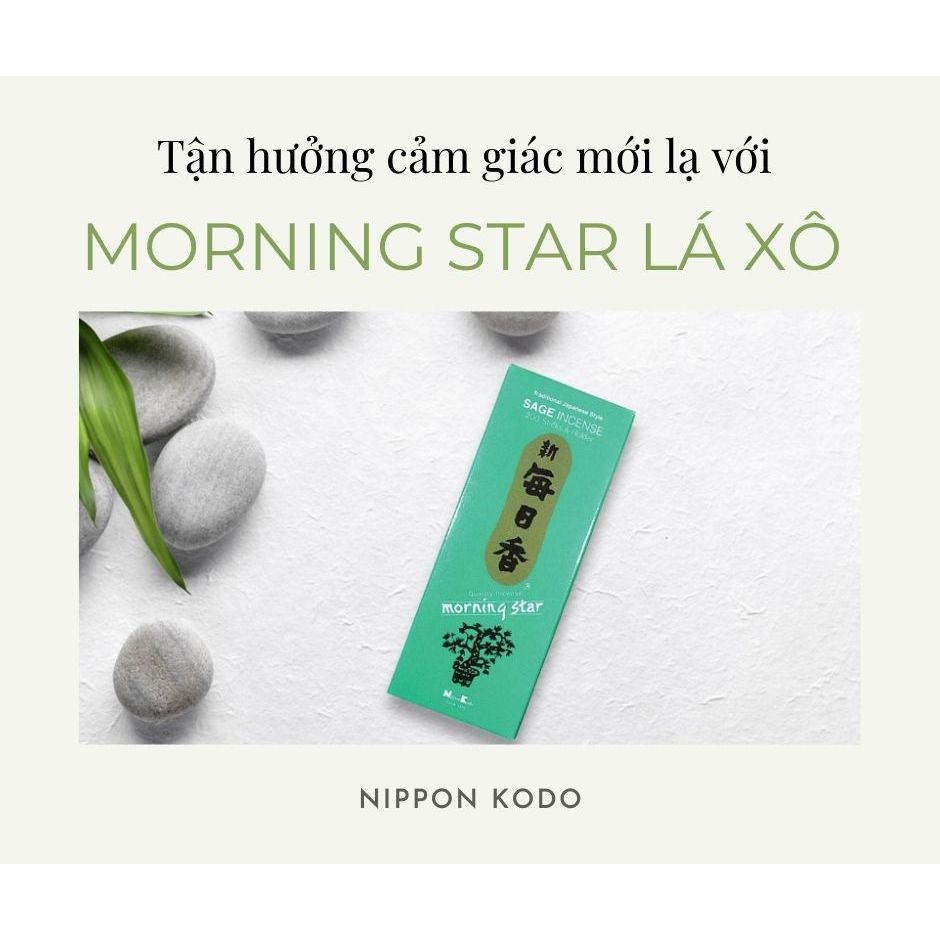 Nhang thơm Morning Star - Thanh hương Nhật Bản thư giãn định tâm Nippon Kodo