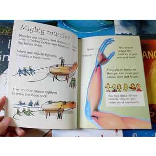 Sách - Usborne Beginners Science (bộ 10 cuốn bìa mềm)