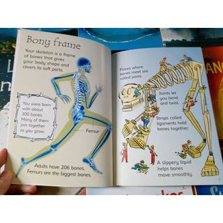 Sách - Usborne Beginners Science (bộ 10 cuốn bìa mềm)