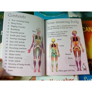 Sách - Usborne Beginners Science (bộ 10 cuốn bìa mềm)