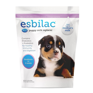 🍼 Sữa Esbilac dành cho chó 🐶