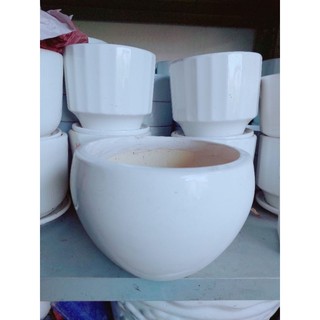 Chậu trồng cây 17cm