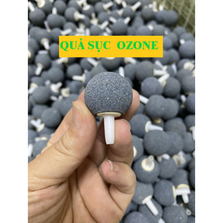 Quả sủi  Sục khí ozone,sục nước bể cá hàng loại 1 gái tốt