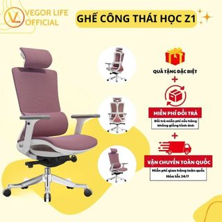  Ghế văn phòng công thái học bảo vệ cột sống gật gù tư thế 35 độ Thương hiệu Vegor Life - Z1  S04 