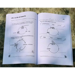 Sách - 300 KINDERGARTEN Maths/English/Science - bộ 3 cuốn