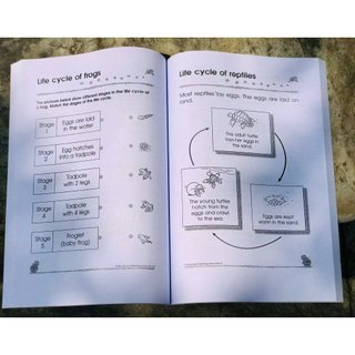 Sách - 300 KINDERGARTEN Maths/English/Science - bộ 3 cuốn