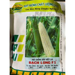 Hạt giống bắp nếp F1 Bạch Long 100gram