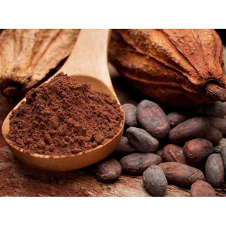 Bột cacao malaysia 100g