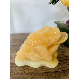 thiềm thừ, cóc 3 chân