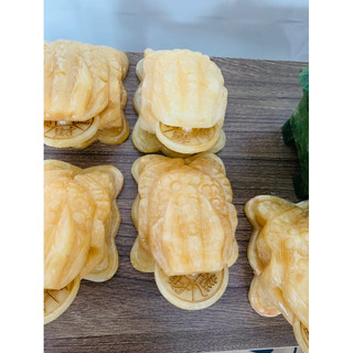 thiềm thừ, cóc 3 chân