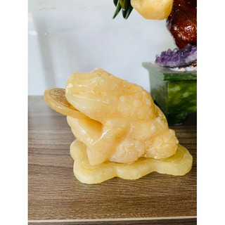 thiềm thừ, cóc 3 chân