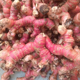 Củ giềng đỏ 1kg