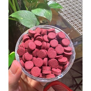 Biozym Red Worm Tab - Thức ăn sâu đỏ giàu dinh dưỡng cho cá cảnh
