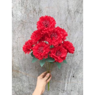 Cụm hoa cẩm chướng 9 bông