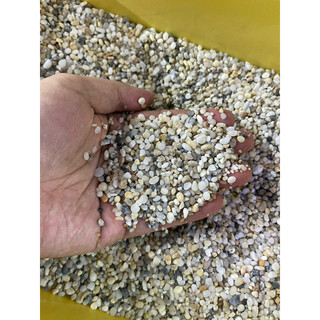 Sỏi nhiều màu - Trang trí hồ cá cảnh, thuỷ sinh