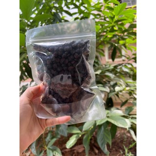 2 lạng hạt dổi nếp rừng