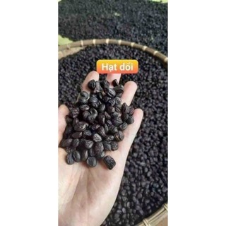 2 lạng hạt dổi nếp rừng
