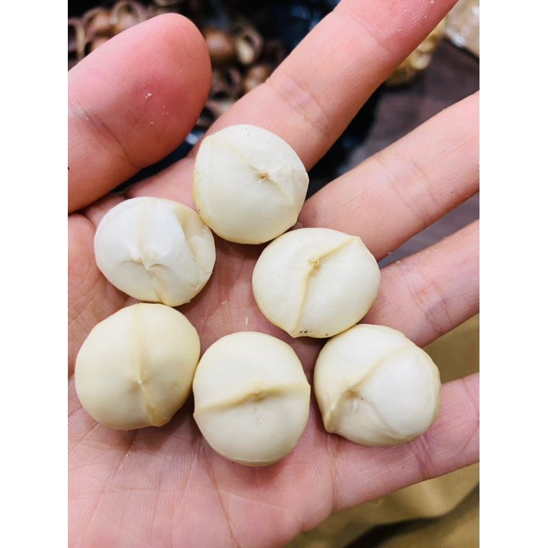 mắc ca nhân sấy 500g