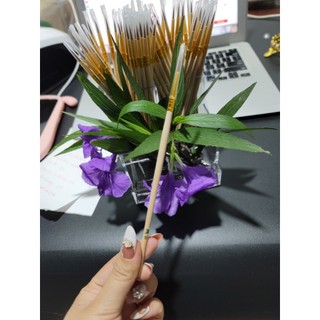 Cọ vẽ nét cán gỗ ( giá 1 cây )