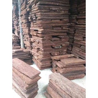 Dớn bảng ghép lan size 50