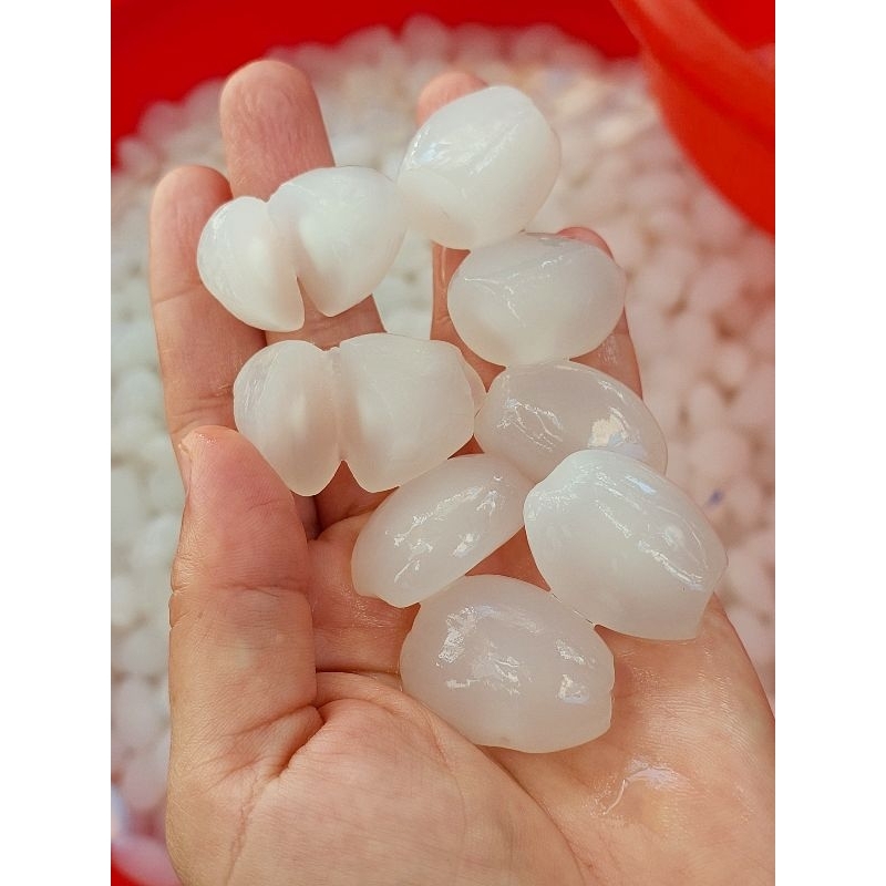 hạt đác cứng, già 1kg