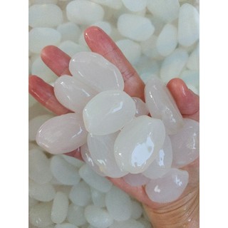 Hạt đác dẻo size lớn 1kg - chọn kỹ