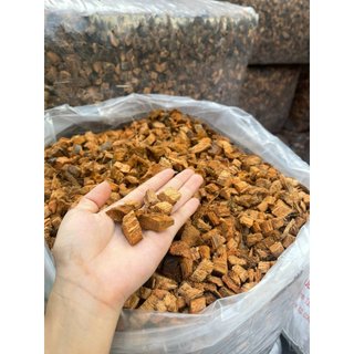 Xơ dừa cục thô trồng lan đã qua xử lý trồng lan, cây cảnh, kiểng lá