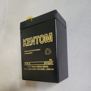 Bình ắc qui khô 6V 5A Kentom