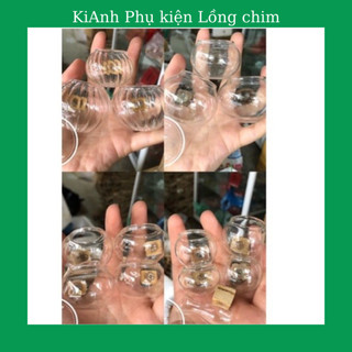 Cóng thuỷ tinh Mào, Khuyên, Choè, mi mẫu đa dạng kèm tai