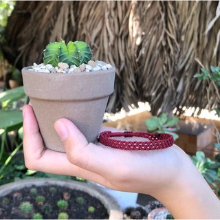 Vòng Step by Step
