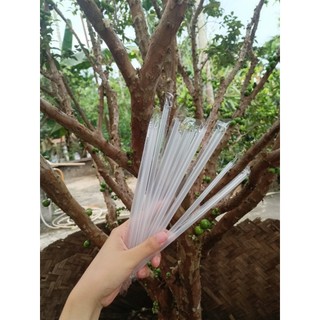 Ống hút nhựa bọc màng bopp từng cái loại phi 6